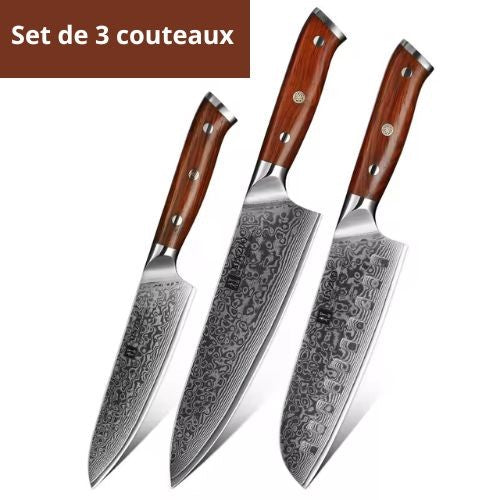 set de couteaux de cuisine professionnel
