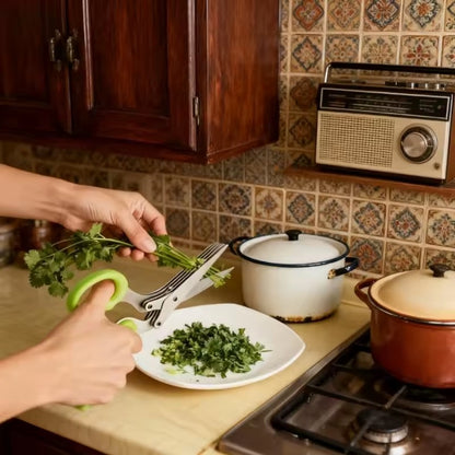 des ciseau de cuisine de bonne qualité