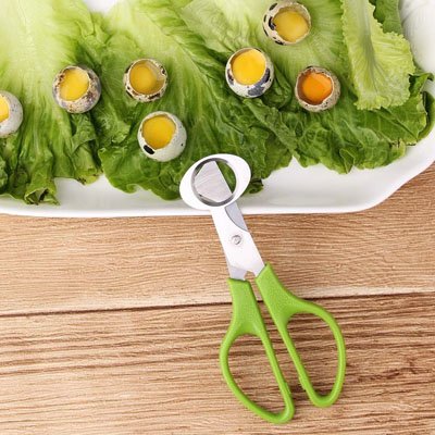  couper les oeufs avec un Coupe oeuf