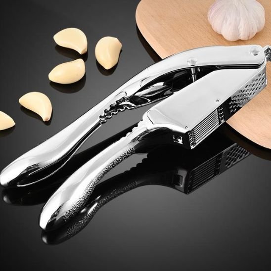 presse ail inox pas cher 