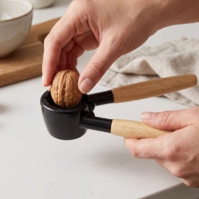  une noix dans un Casse noix